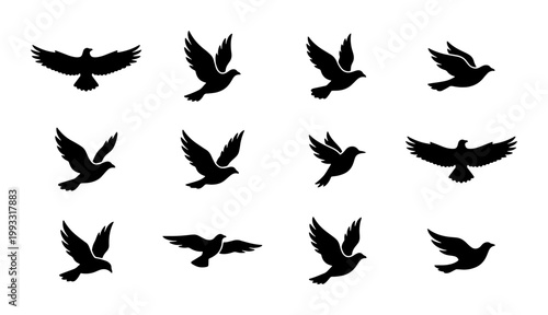 Black bird silhouette collection, 12 flying bird vector icons, soaring eagle and dove silhouettes, minimalist avian wing shapes for logo design