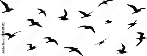 Flock of black seagulls in flight against 
