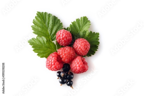 Fresh raspberries and black currants with green leaves on white background