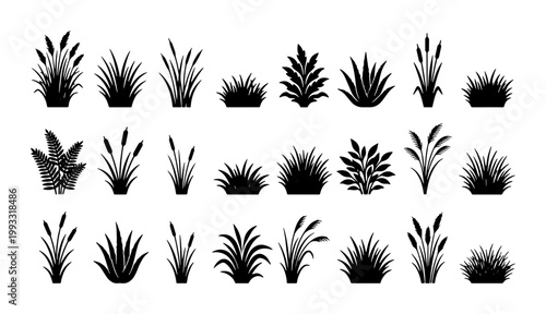 Black grass silhouette collection, 24 botanical plant vector icons, wild meadow weeds and swamp cattail elements for landscape design
