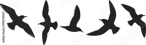 Five flying bird silhouettes soar through the air with outstretched wings against a clear sky