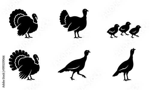 Black turkey silhouette icons set, wild turkey bird family vector graphics, farm animal silhouettes for Thanksgiving and autumn harvest designs