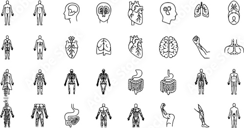 Human Anatomy and Organs Black  White Line Art Icons Set - Medical Healthcare Biology Outline Vector Collection