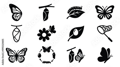 A comprehensive collection of black vector icons illustrating the butterfly life cycle: egg, larva, pupa, adult, plus related elements. Ideal for educational and graphic design projects.