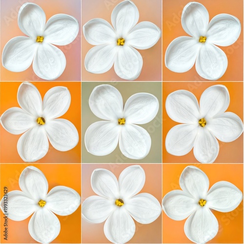 Nine white flowers with yellow centers on multicolored tiles in a grid pattern