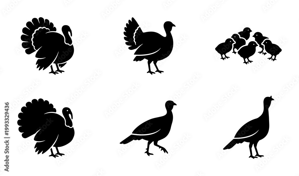 Obraz premium Turkey silhouette vector set, black farm bird icons for Thanksgiving and autumn design, wild turkey and chick collection on white background