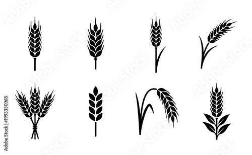 Wheat ear black silhouette icons, organic grain cereal stalks set of 8 vectors, agricultural barley and rye plant symbols for bakery logo design