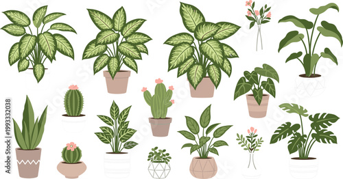Collection of indoor houseplants and potted greenery in flat vector illustration with tropical leaves, cactus and decorative plants isolated on light background