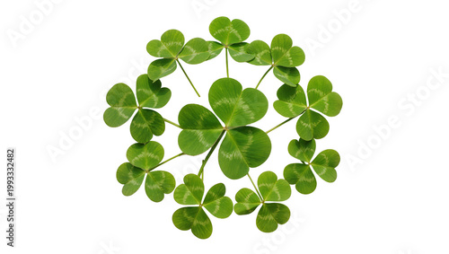 Foto Circular arrangement of vibrant green four-leaf clover plants