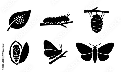 Foto Butterfly life cycle silhouette icons, set of 6 insect metamorphosis stages vect