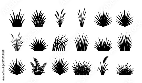 Black grass silhouette collection, 18 botanical meadow plant icons, decorative garden weed and reed vector set for landscape design and nature illustrations