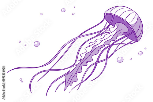 Hand Drawn Jellyfish Illustration Marine Life Ocean Creature Line Art Vector Design