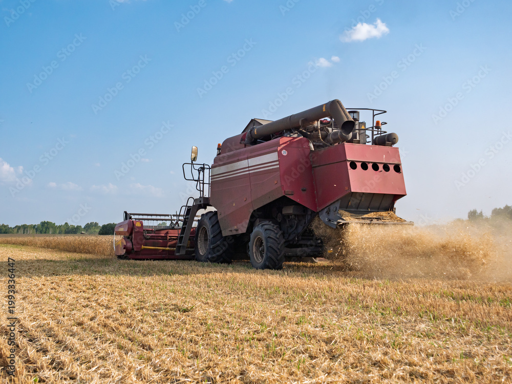 Fototapeta premium A combine harvester working in a vast agricultural field during a sunny daytime harvest, kicking up dust