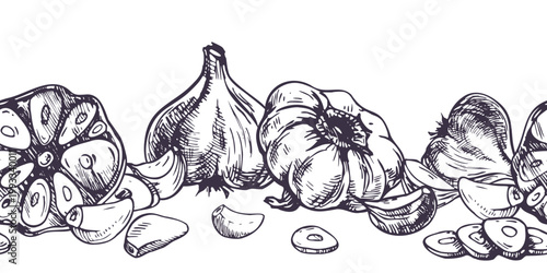 Garlic bulbs and cloves hand drawn pen and ink sketch. Graphic line art botanical illustration of organic vegetable. Seamless border design for farm market packaging and cooking menu.