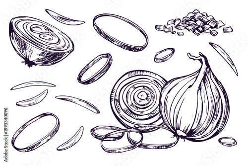 Hand drawn onion set with cut slices and chopped pieces. Sketch of vegetable for culinary recipe book, restaurant menu design and food packaging. Black and white ink line art illustration.