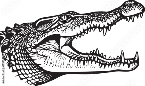 Engraved-style crocodile head in profile with detailed teeth and scales.eps