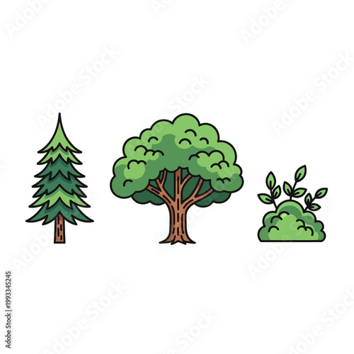 Set of stylized trees and bush icons: pine, deciduous tree, and shrubbery