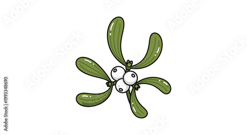 Christmas Mistletoe Sprig with White Berries