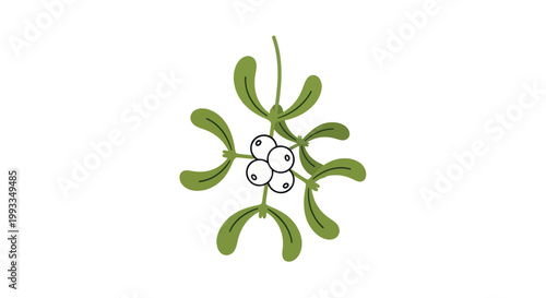 Mistletoe Branch with Berries - Christmas Holiday Icon