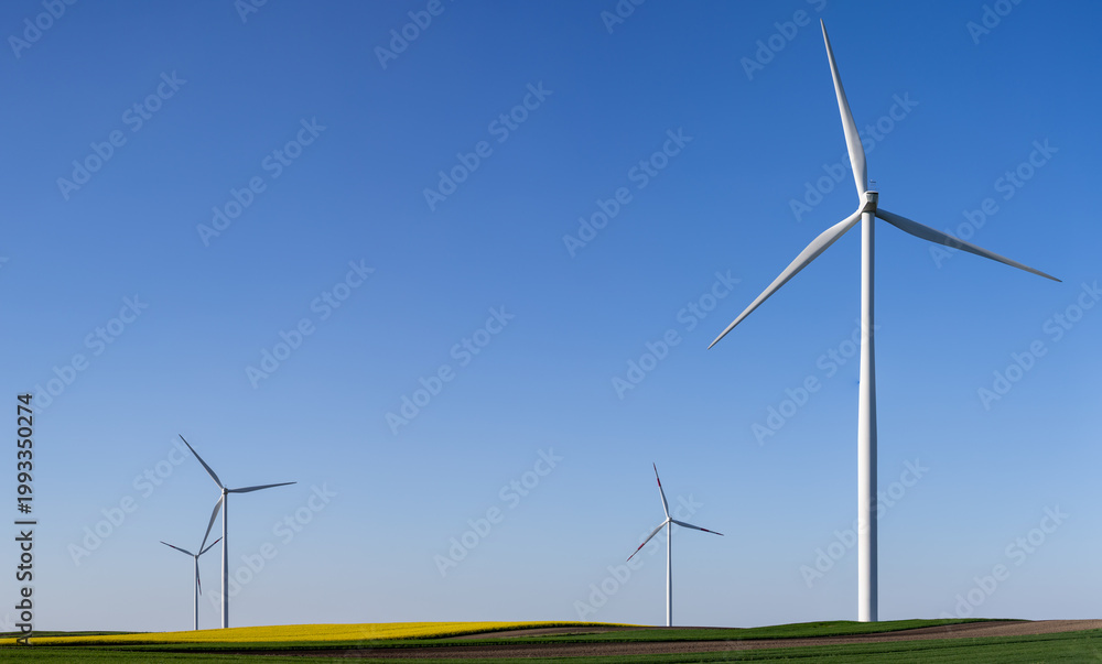 Fototapeta premium Wind Turbines Over Rolling Farmland Under Clear Blue Sky Panorama