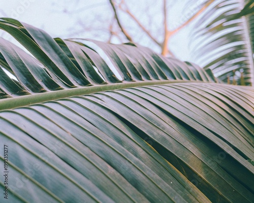 nature picture