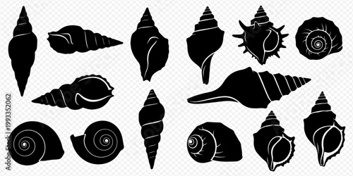 Collection of various black silhouette seashells and snail shells on a transparent background.