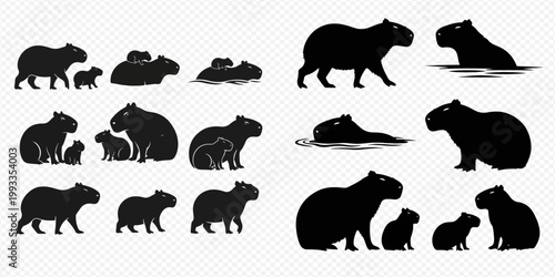 Collection of capybara silhouettes in various poses, including adults, babies, and swimming in water, on a transparent background.