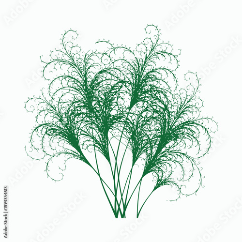 Isolated green vector plant and spring tree branch with fresh herbal leaves and rosemary foliage design on a white background
