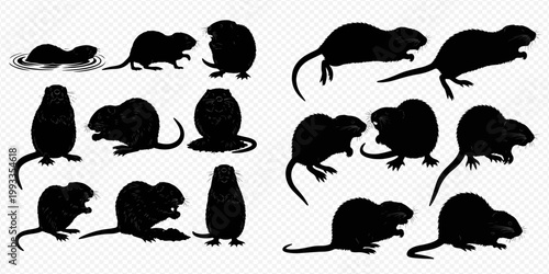 Collection of beaver and muskrat silhouettes in various poses, isolated on a transparent background.