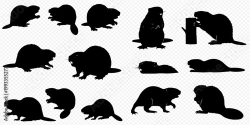 Konstfotografi Set of beaver silhouettes in various poses, including standing, swimming, and gnawing on a tree trunk, isolated on a transparent background