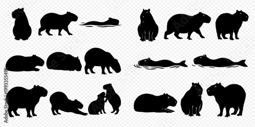 Collection of capybara silhouettes in various poses, including standing, sitting, walking, and swimming, on a transparent background.