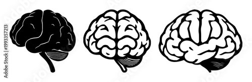 Brain icon set with solid black shapes on white background featuring learning, knowledge, memory with neuroscience and education