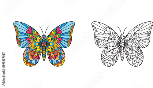 Intricate Mandala Butterfly Vector Illustration, Colorful Design and Black and White Line Art for Adult Coloring Books