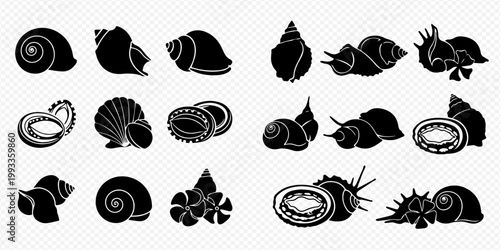 Collection of black silhouette sea shells, snails, and marine creatures in various shapes and forms, isolated on a transparent background.
