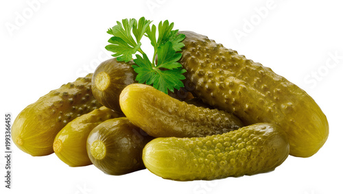 Tableau sur toile Green pickled cucumbers with fresh parsley sprig