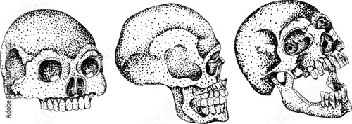 Hand drawn illustration set in a dark plague doctor theme, medieval medicine, anatomy, and occult aesthetics. Vintage engraving style, suitable for gothic, historical, and dark