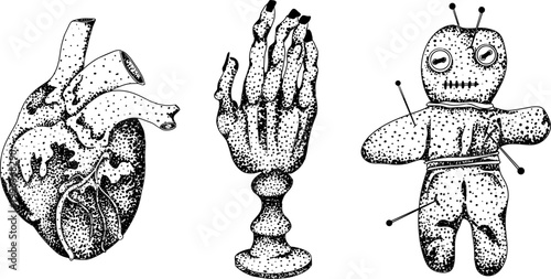 Hand drawn illustration set in a dark plague doctor theme, medieval medicine, anatomy, and occult aesthetics. Vintage engraving style, suitable for gothic, historical, and dark