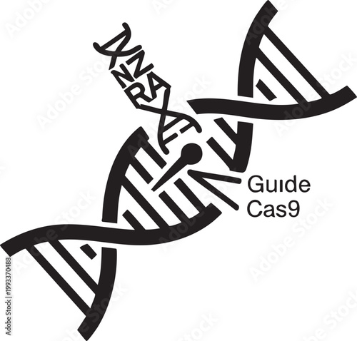 DNA helix, genetic engineering, CRISPR-Cas9, molecular biology vector