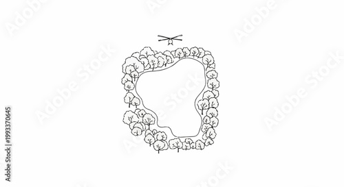 Aerial view of a cleared natural area surrounded by stylized trees