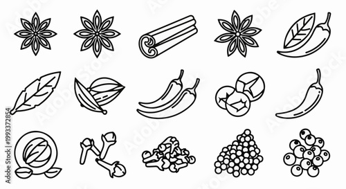 Collection of diverse spice and herb illustrations, rendered in black and white line art