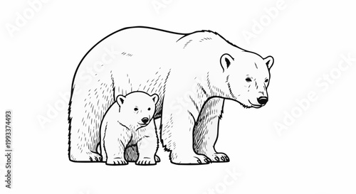 A mother polar bear and cub are standing together on a white background