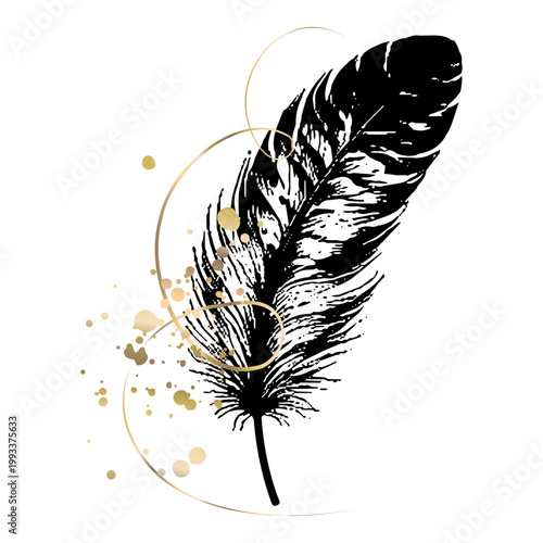 Black gold feather luxury wall art elegant branding packaging decor printable digital sales premium design asset modern