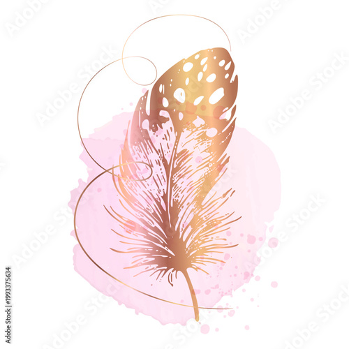 Rose gold feather watercolor luxury feminine wall art for branding packaging beauty interior premium campaigns today