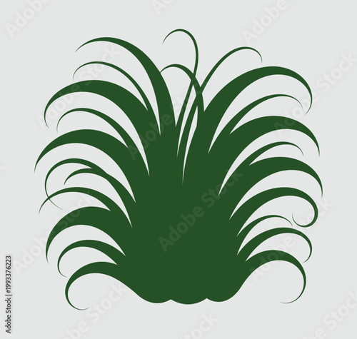 A tropical palm tree vector illustration featuring a green summer plant design with a floral nature pattern and elegant leaf foliage elements for a beautiful art decoration