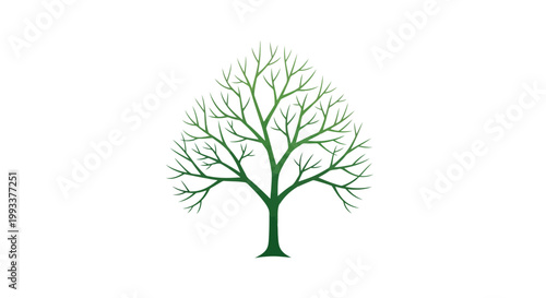 A delicate, minimalist illustration of a bare tree with branches spreading outwards against a white background, symbolizing growth and nature