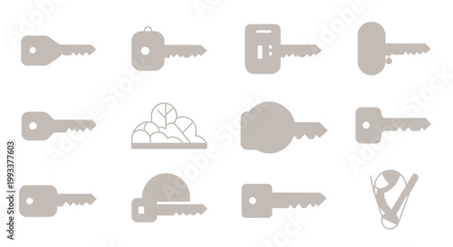 Diverse Collection of Vector Key Icons Featuring Unique Designs and Symbols for Access, Unlock, and Security Concepts in Creative Projects