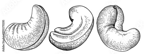 Hand drawn cashew nuts set, vintage engraved style illustration, isolated on white