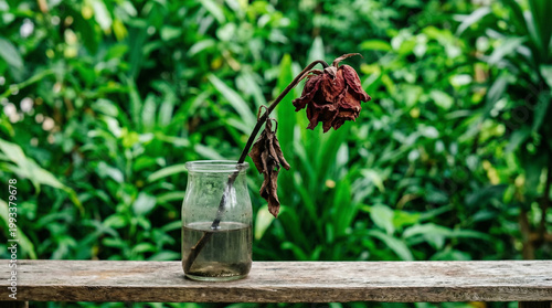 dry red rose in glass bottle
