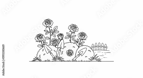 Line drawing of a rose garden with tools and fence