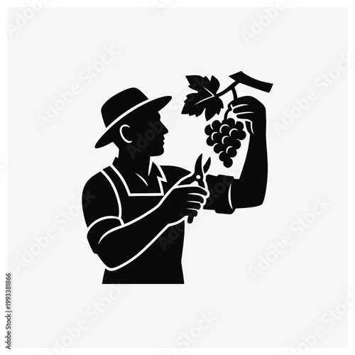 Farmer picking grapes silhouette icon